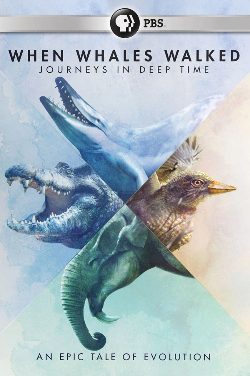 When Whales Walked: Journeys in Deep Time