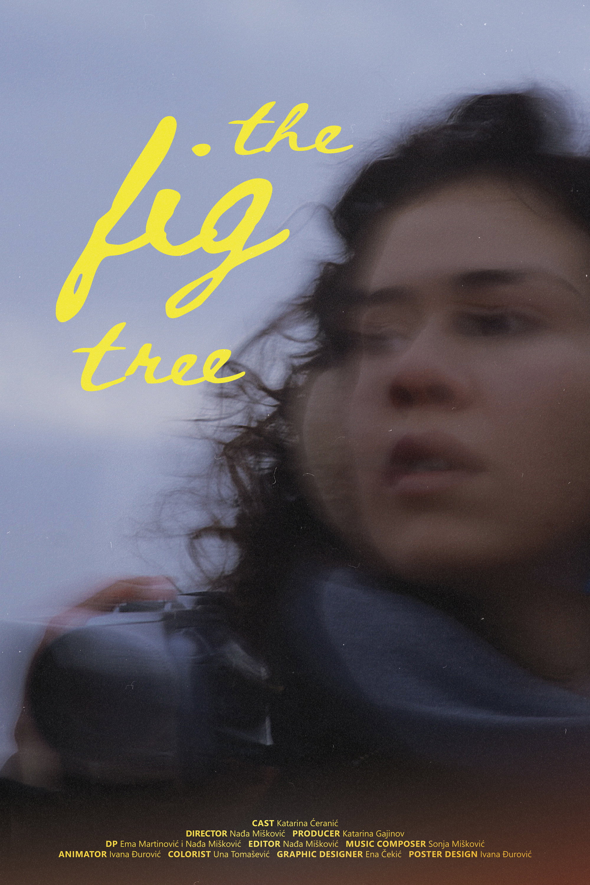 poster movie The Fig Tree