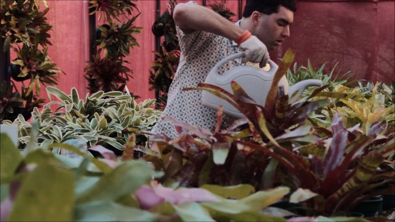 Imagem do Filme Ruby