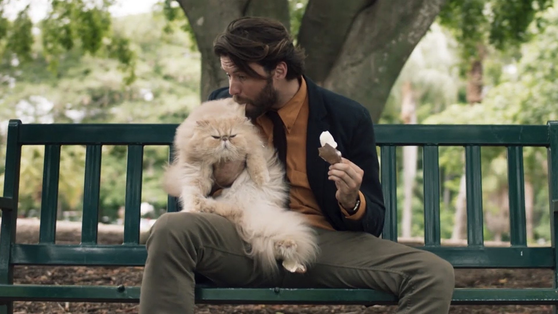 A Man and a Cat (2020)