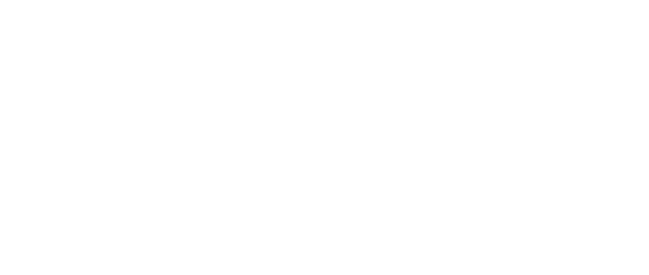 Spirit: Riding Free Logo