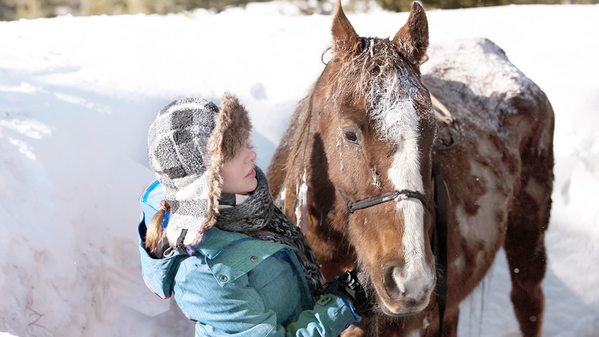 The Horses of Mcbride