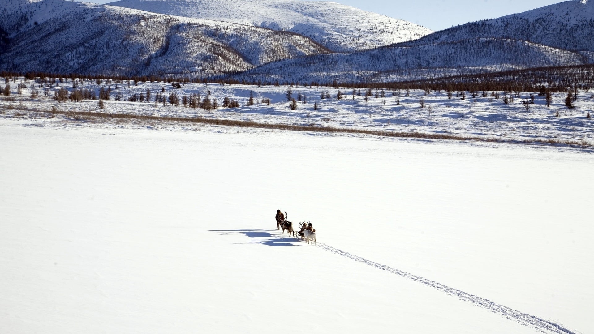 Image du film Loup 1m2fcv91wuzlfnxchhdpkaomcl5jpg