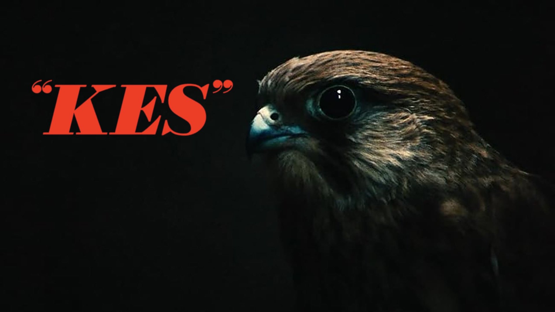 Kes (1970)
