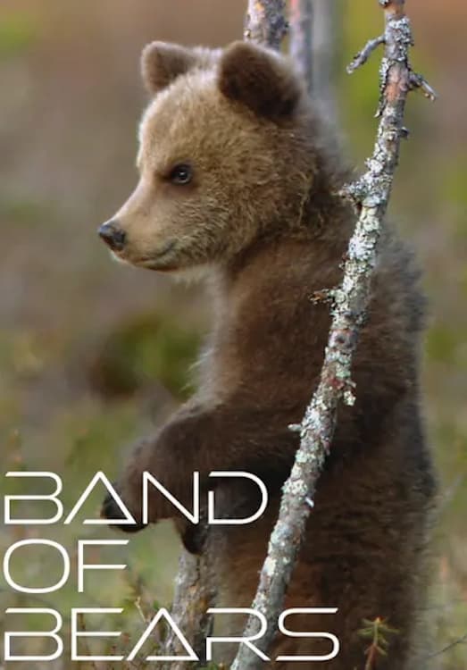 Band of Bears on FREECABLE TV