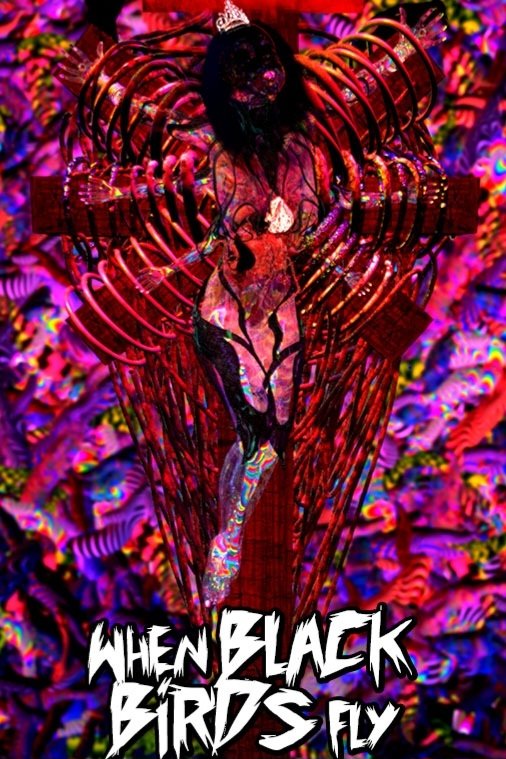 When Black Birds Fly