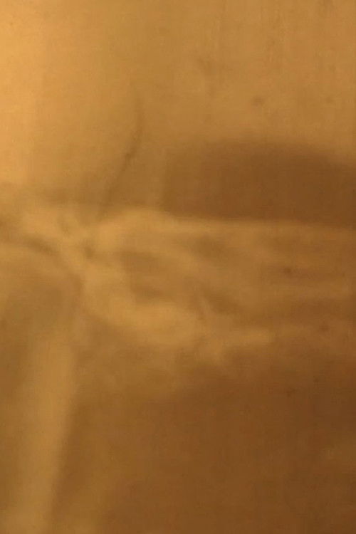 Plakat, der markedsfører FOTOGRAFAR