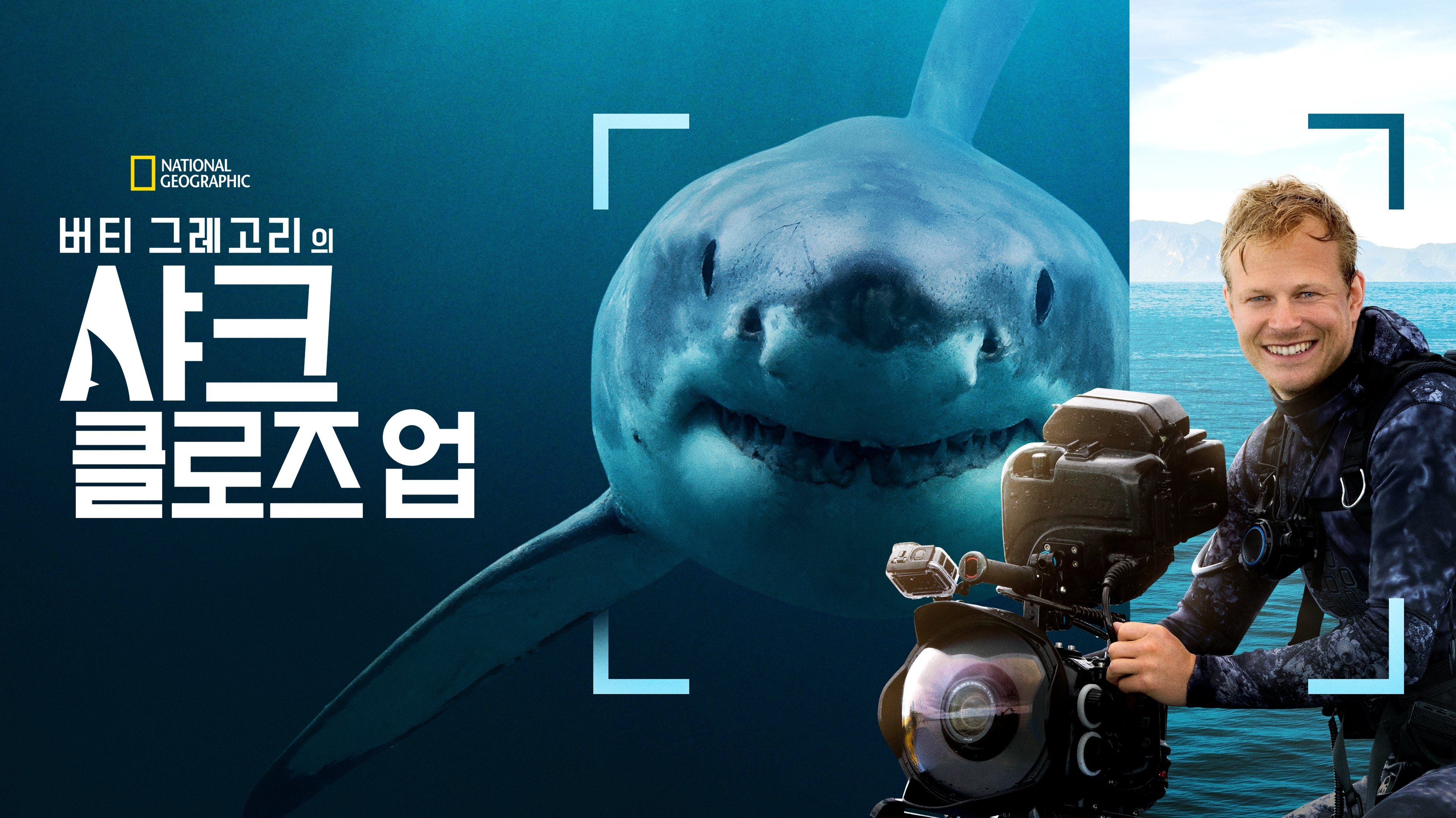 Sharks Up Close with Bertie Gregory backdrop