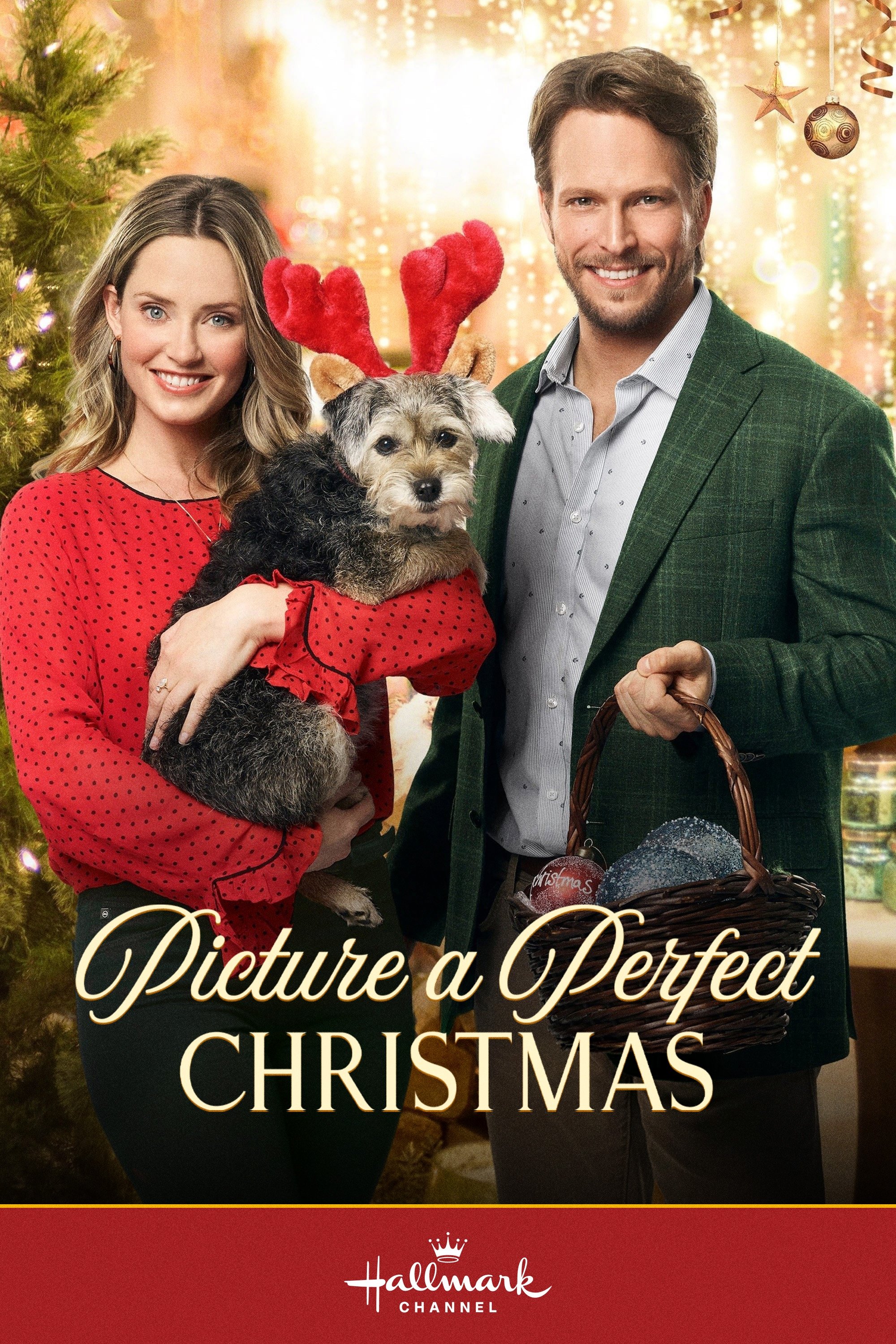 Picture a Perfect Christmas
