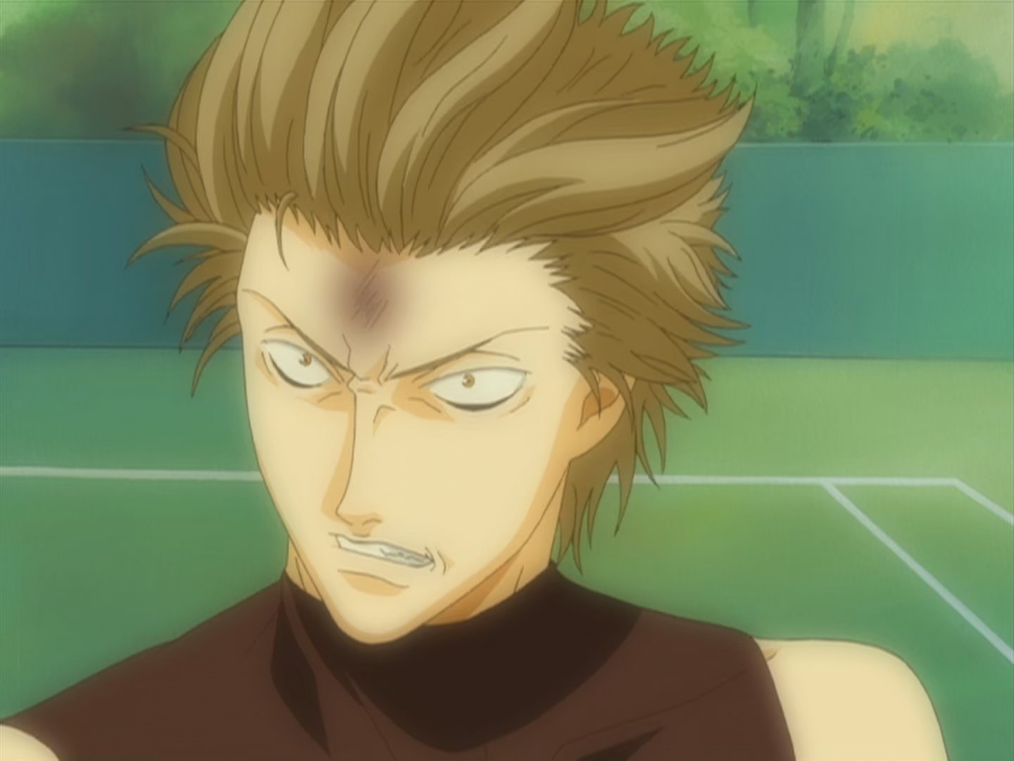 The Prince of Tennis