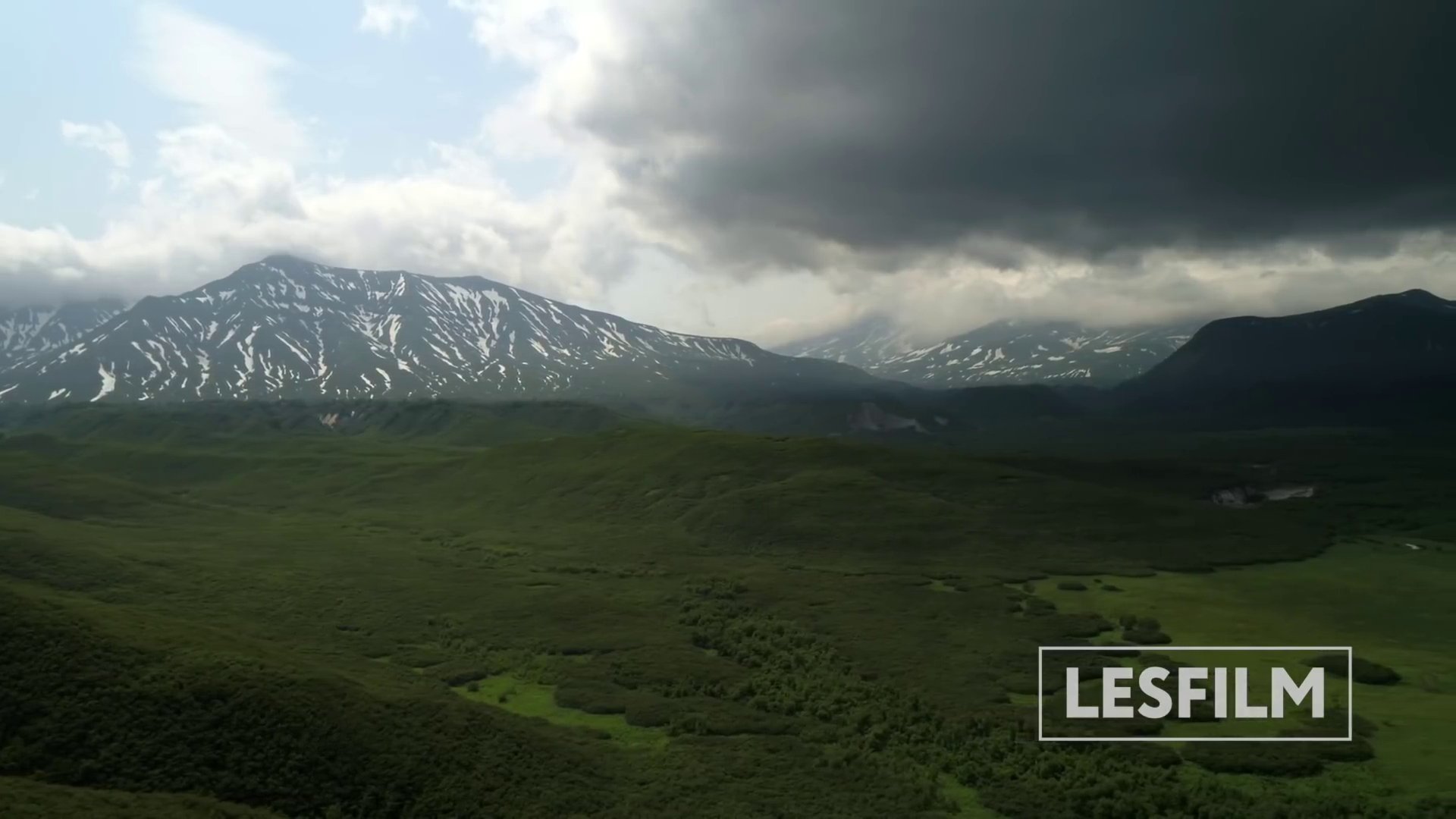 Kamchatka Bears. Life Begins (2018)