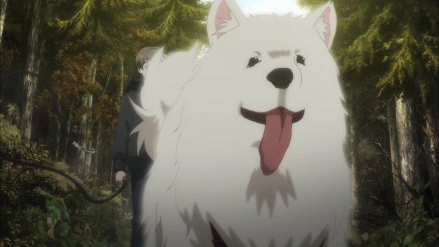 Beautiful Bones: Sakurako’s Investigation