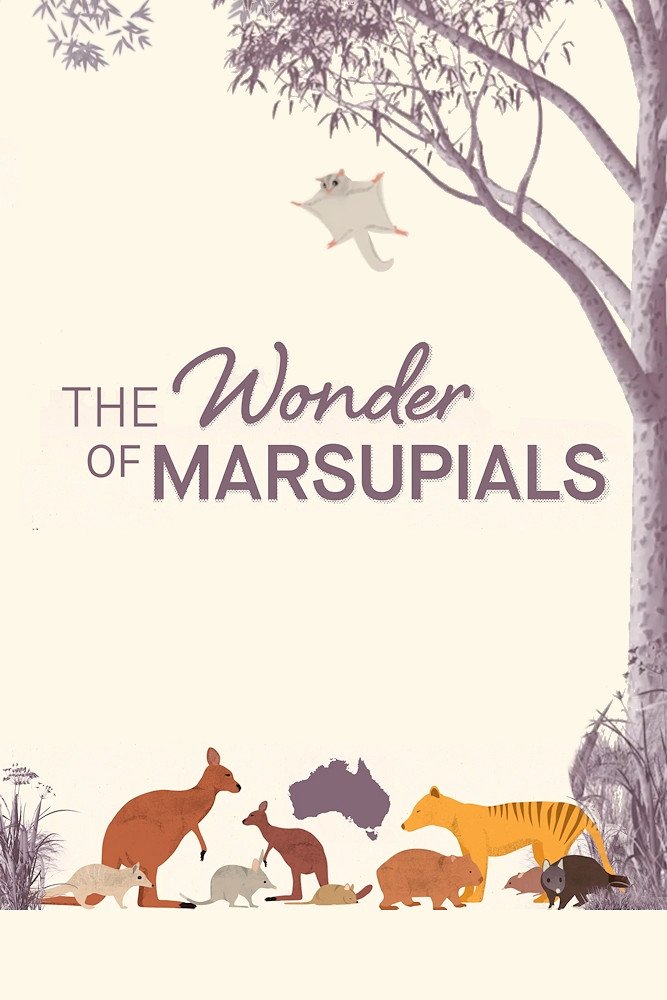 The Wonder of Marsupials (2016)