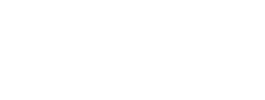 Dirt Every Day Logo