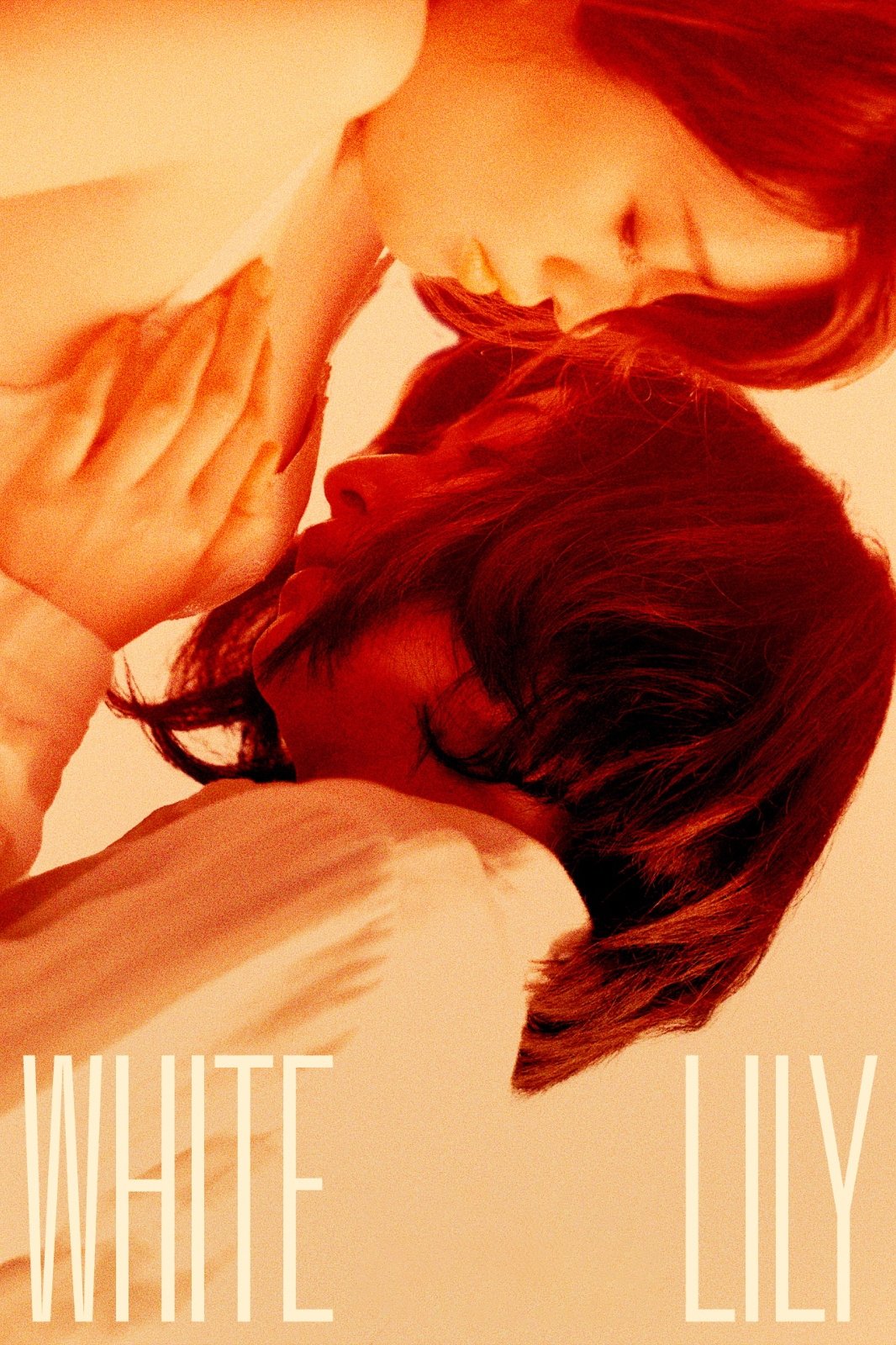 White Lily