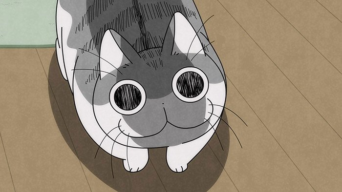 Episode 15