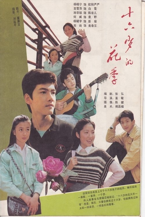 十六岁的花季 - Season 1