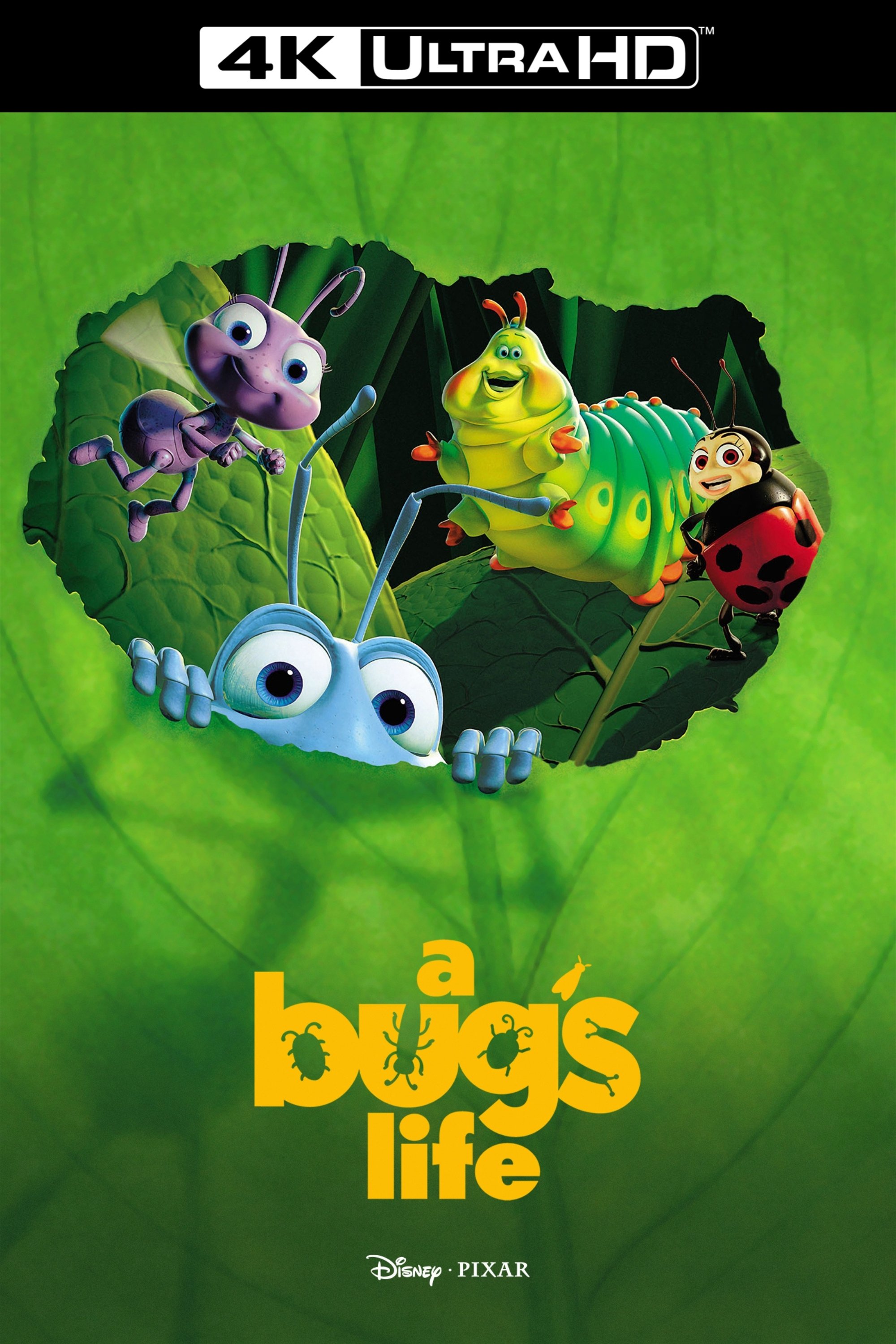 A Bug's Life
