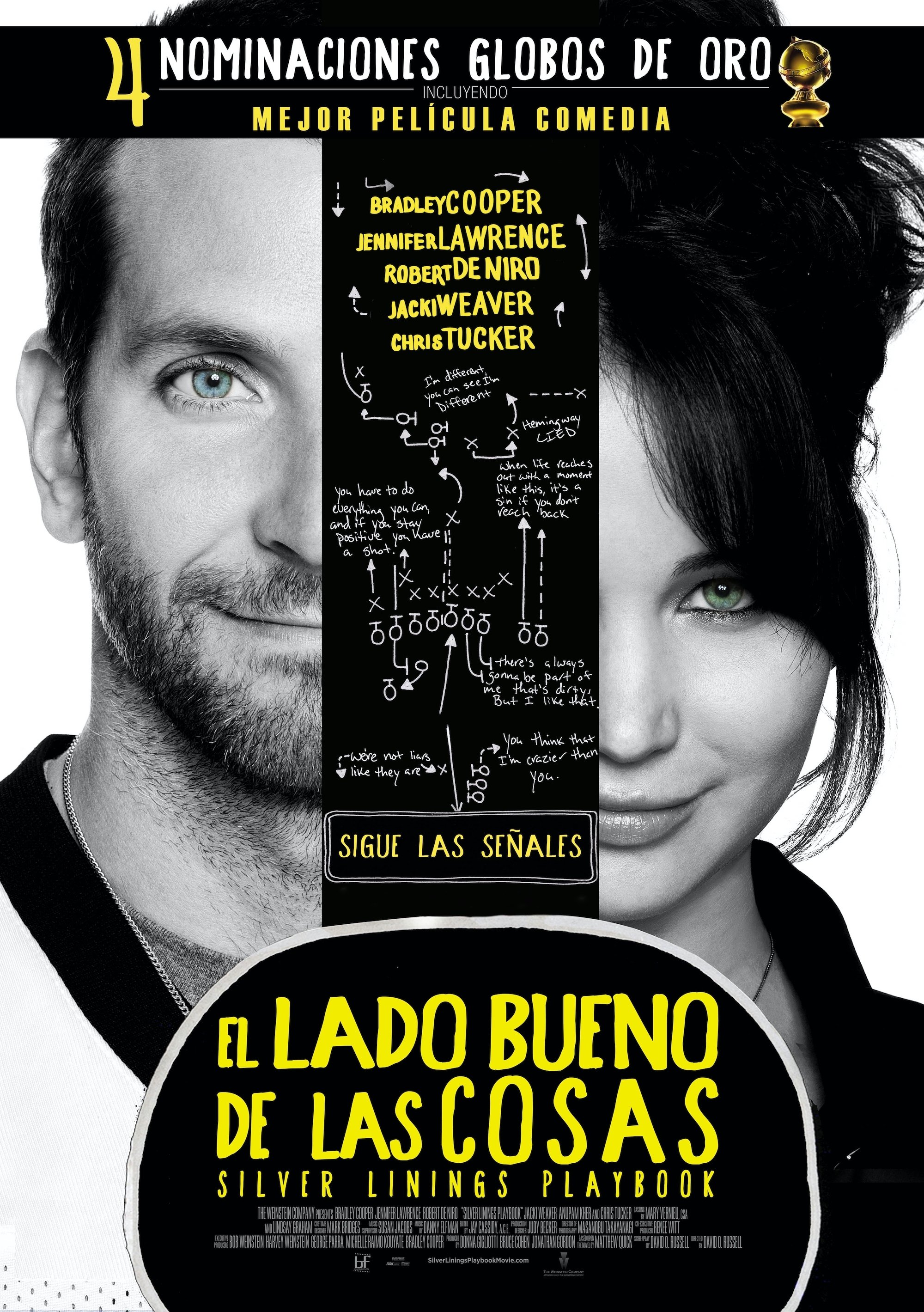 Silver Linings Playbook