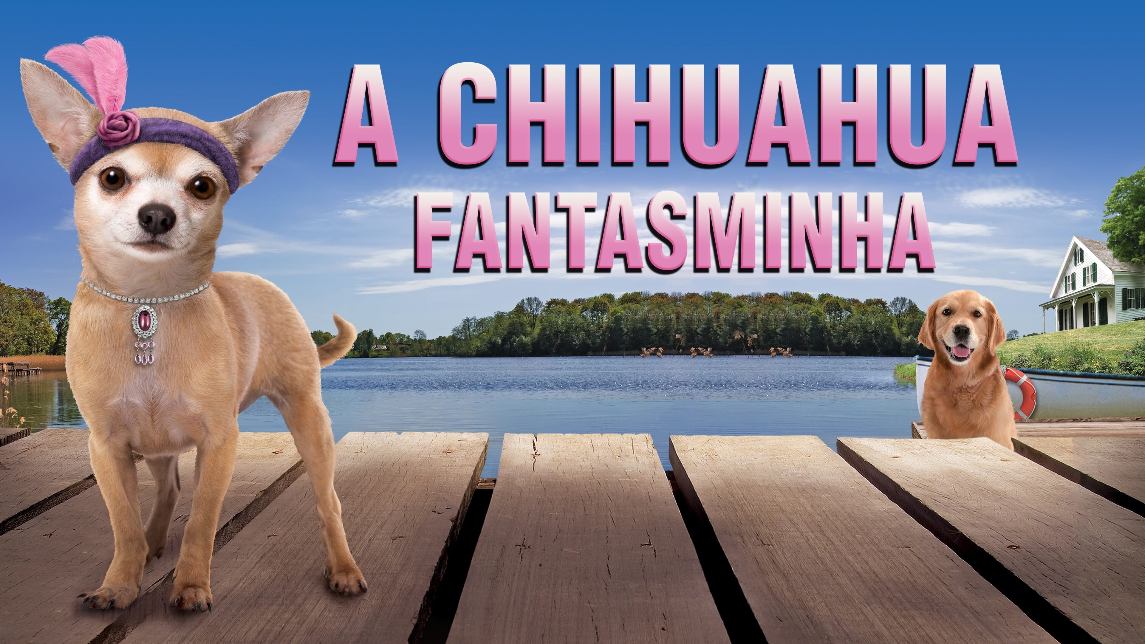 Chihuahua Too! (2013)