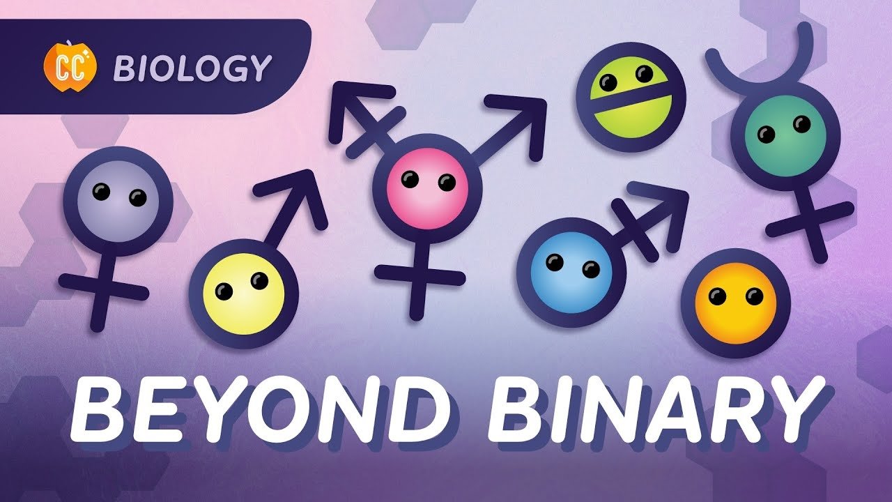 Crash Course Biology - Épisode 48