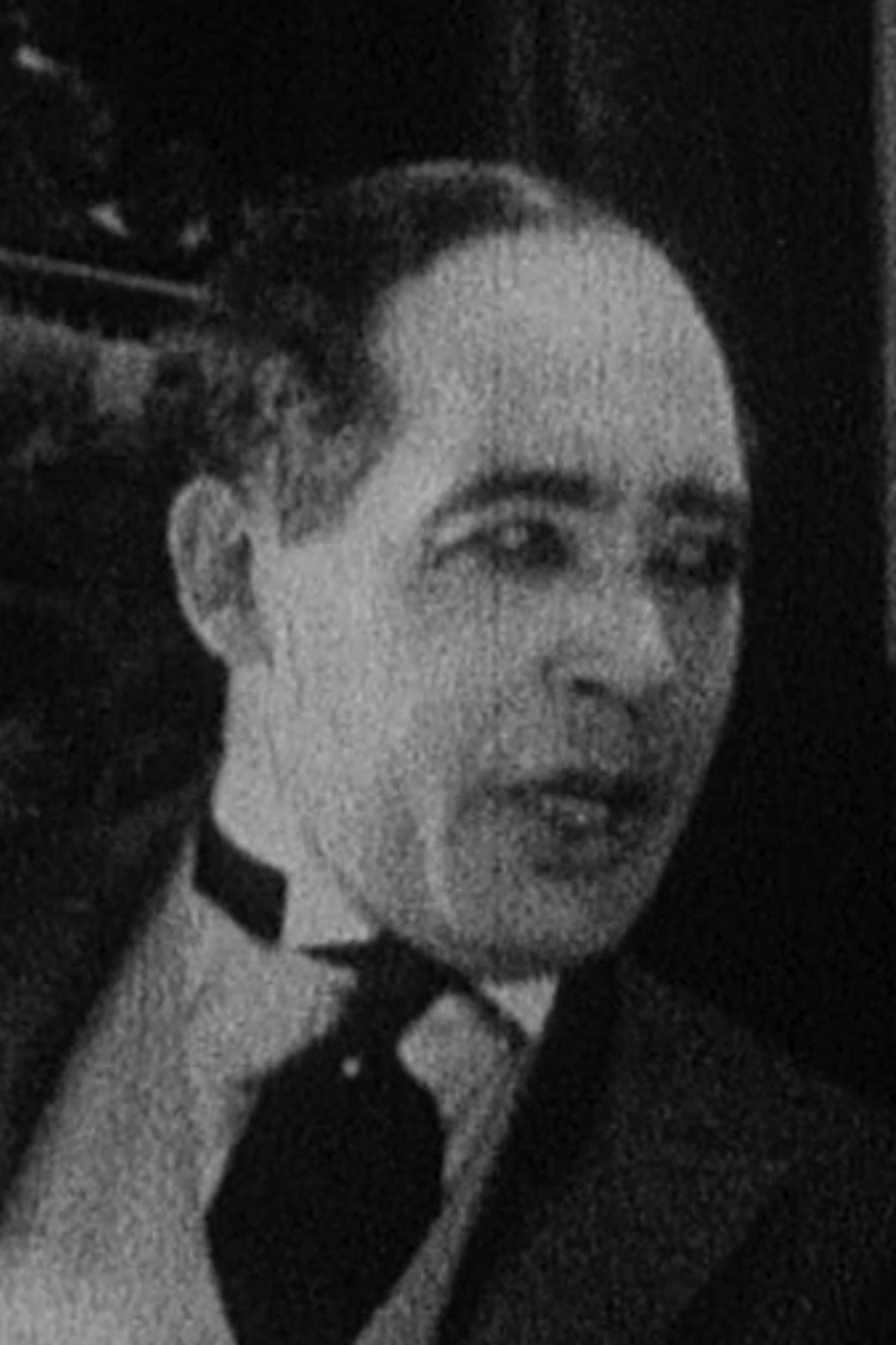 et billede af Lou Vernon