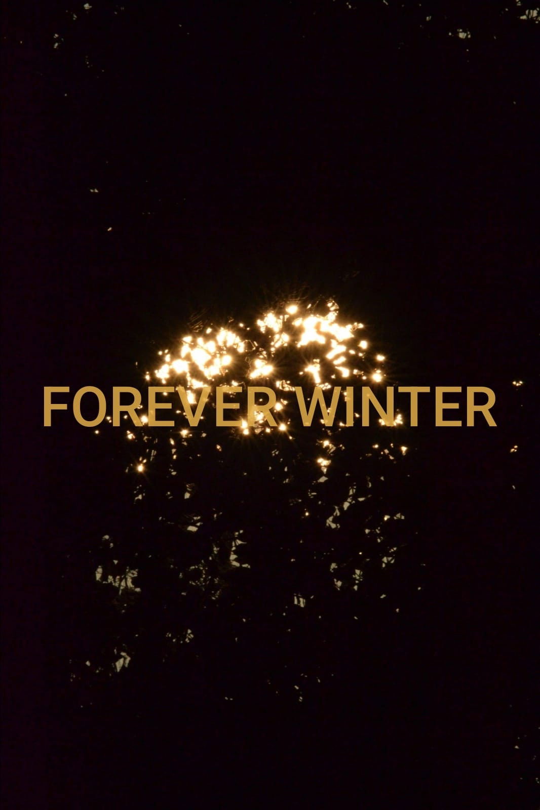 Forever Winter