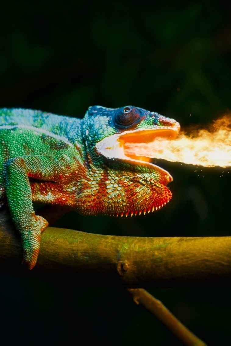 Dolby Atmos and Dolby Vision Demo: Chameleon