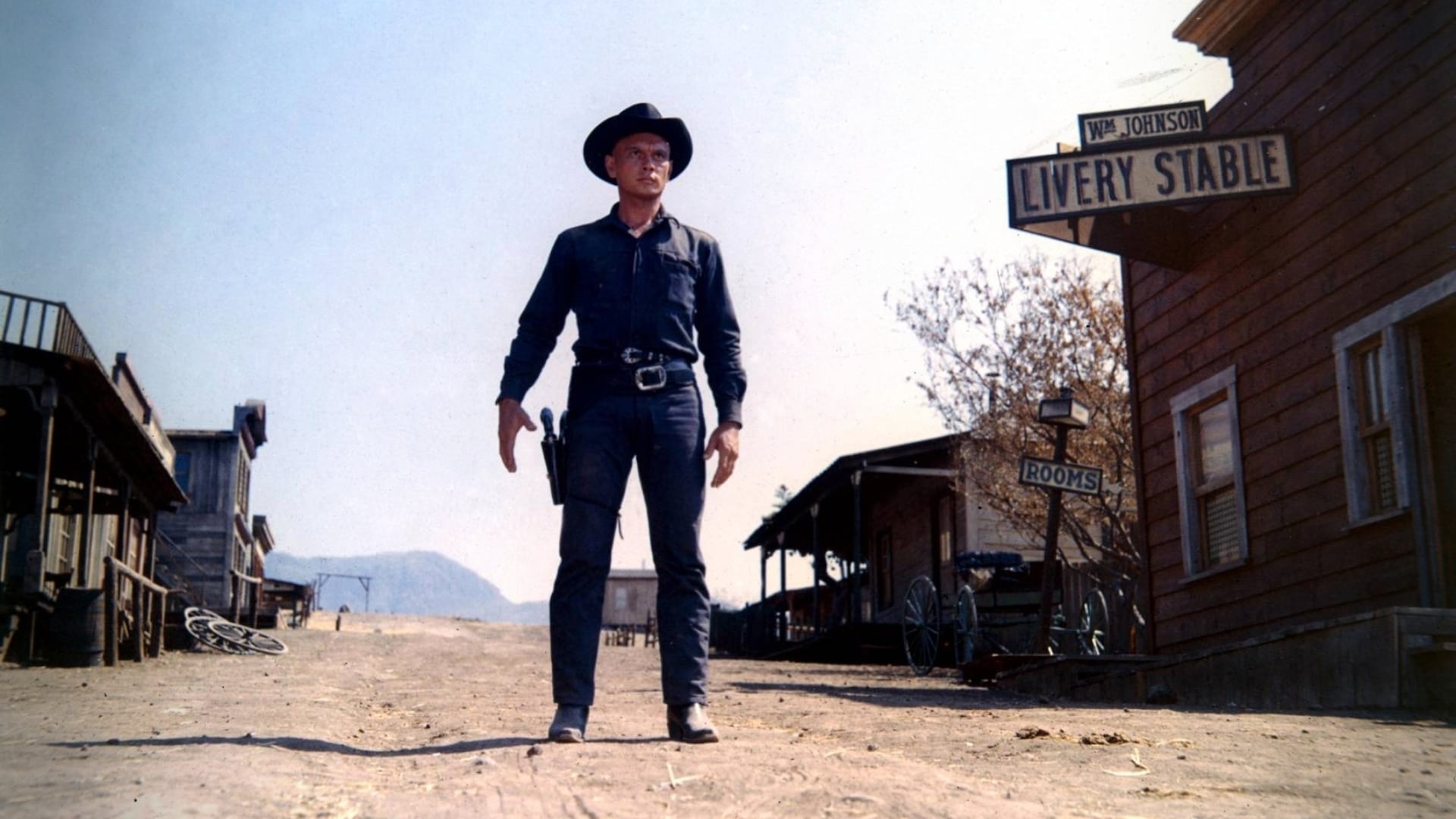 Westworld (1973)