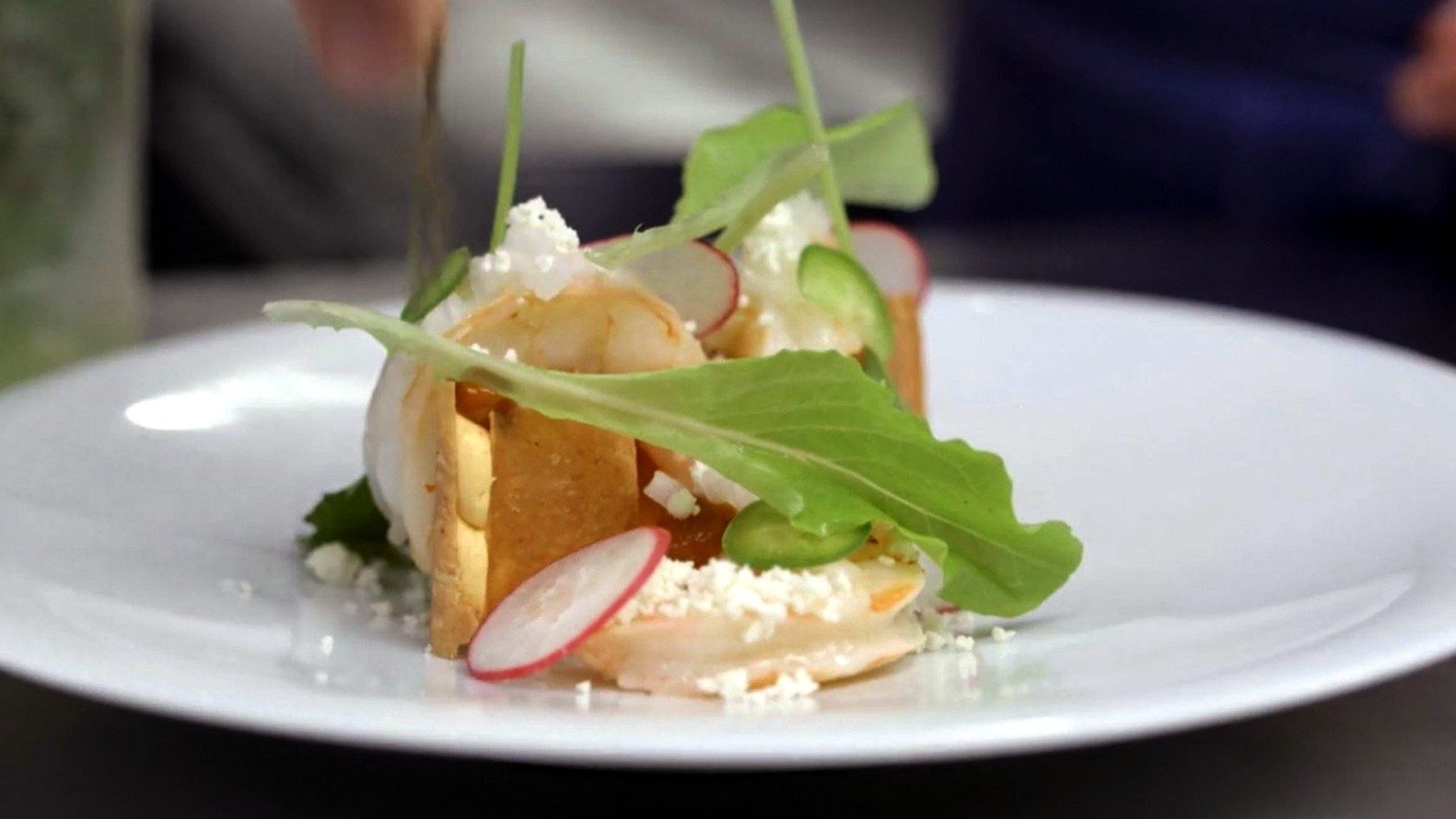 The Mind of a Chef