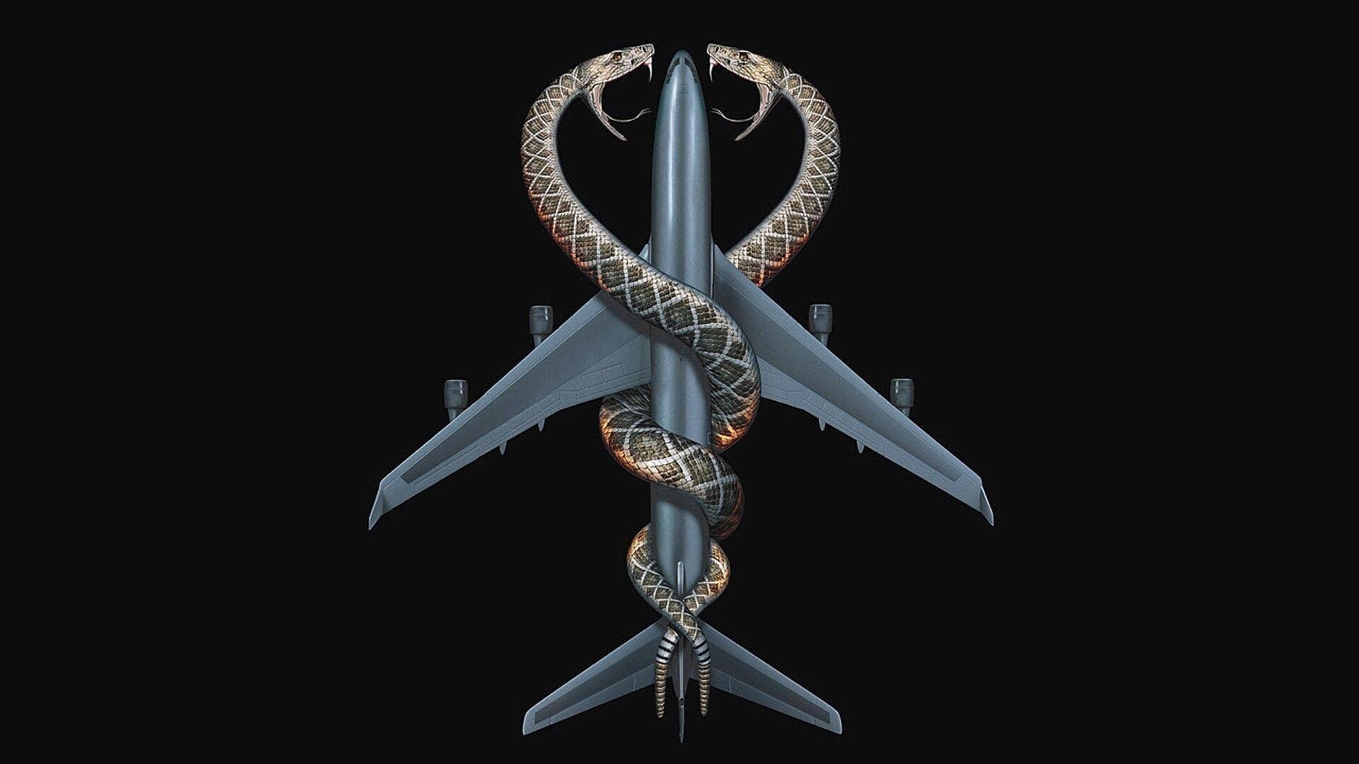 Hady v lietadle