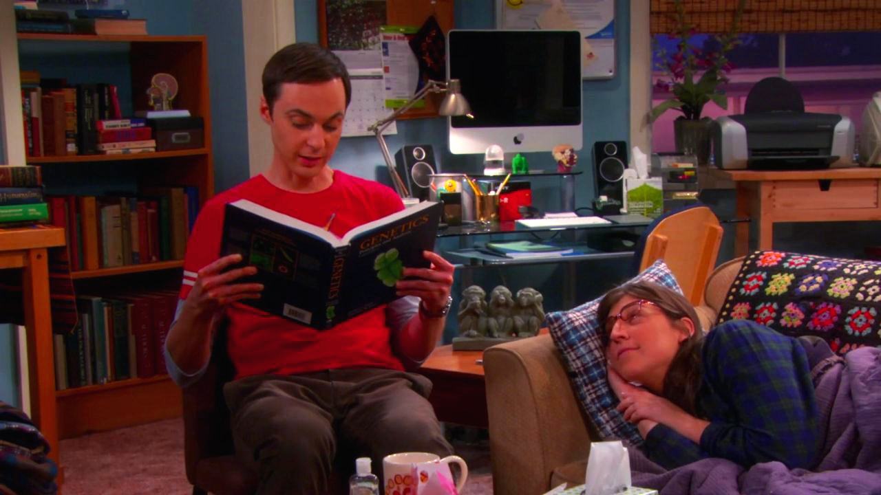 SEASON 6 FULL EPISODES THE BIG BANG THEORY