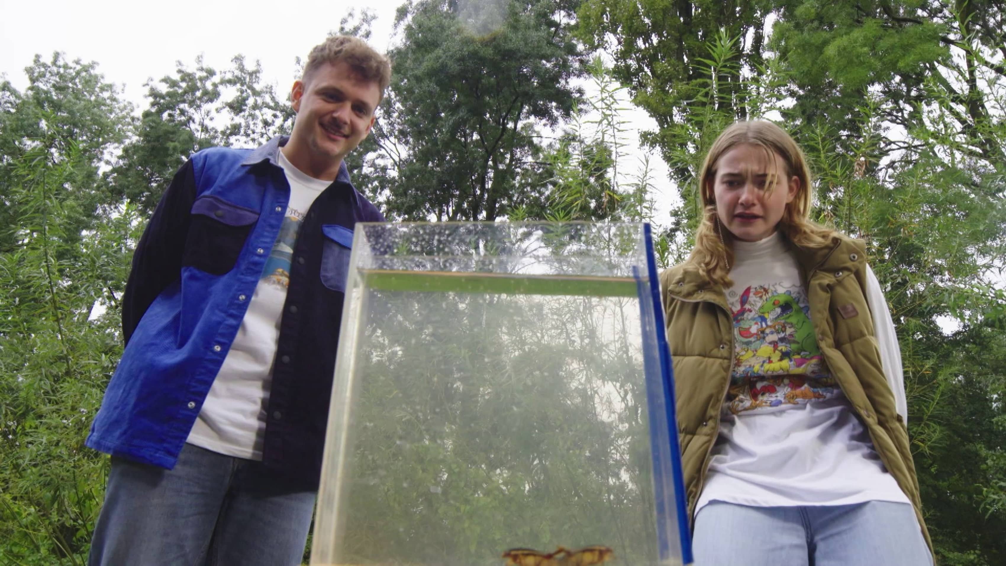Steken en Prikken 1x4
