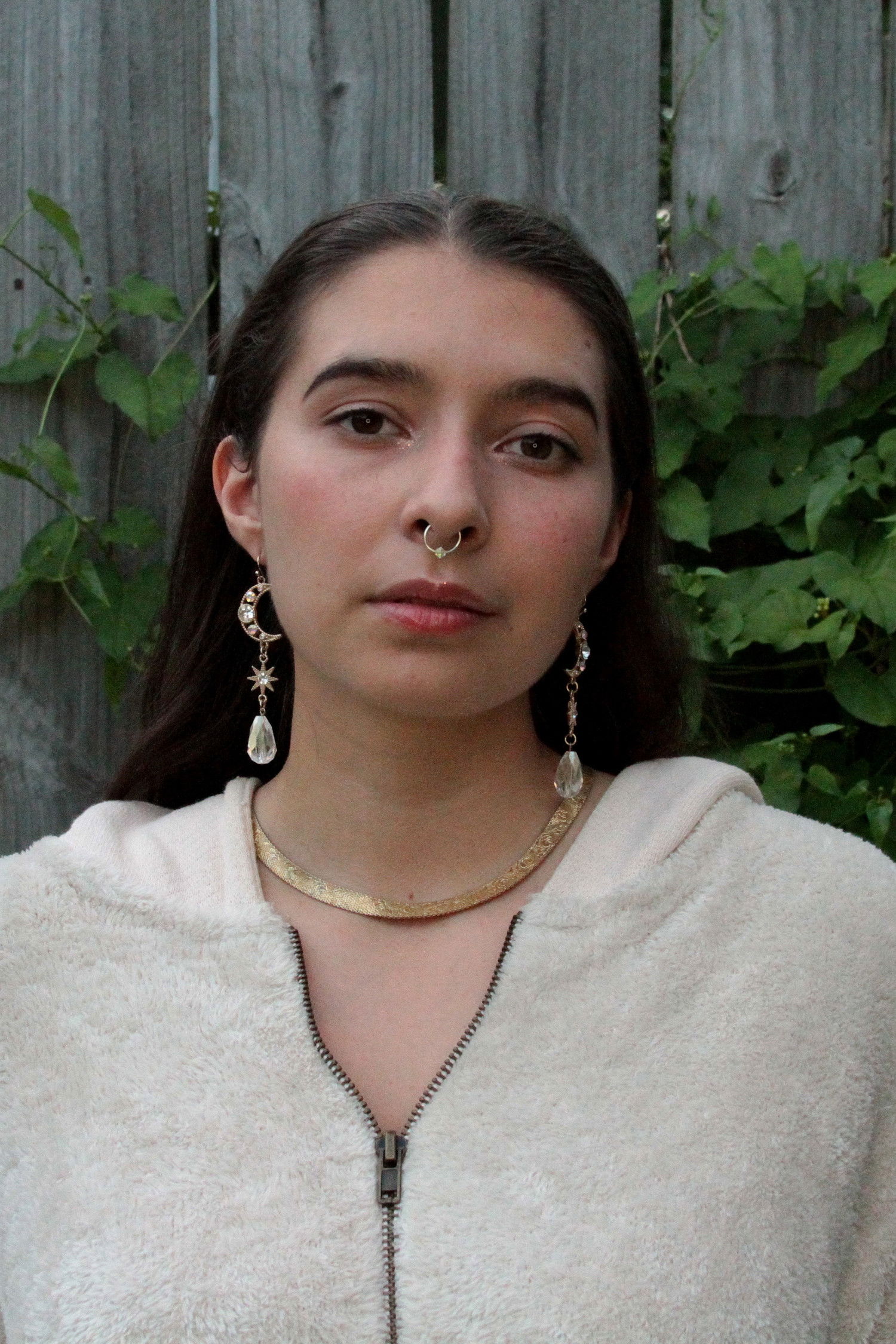 et billede af Diana Sexton