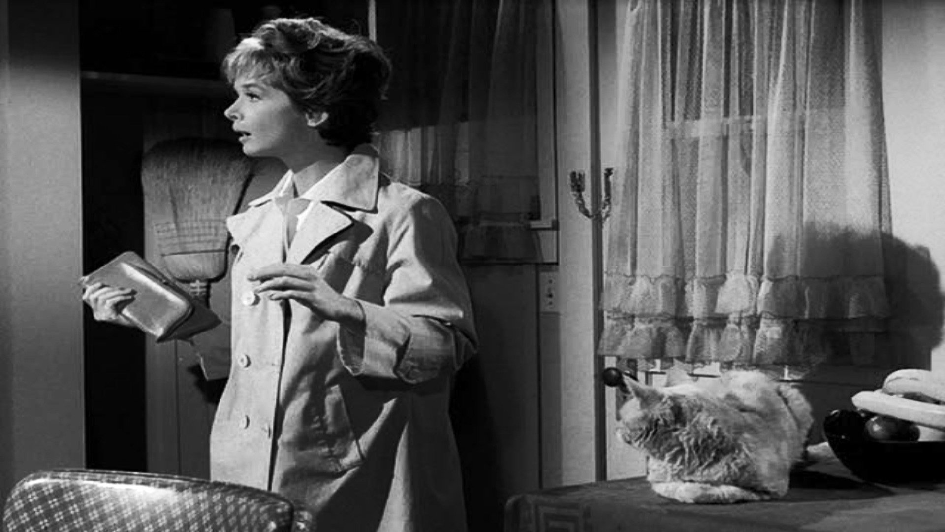 The Fugitive