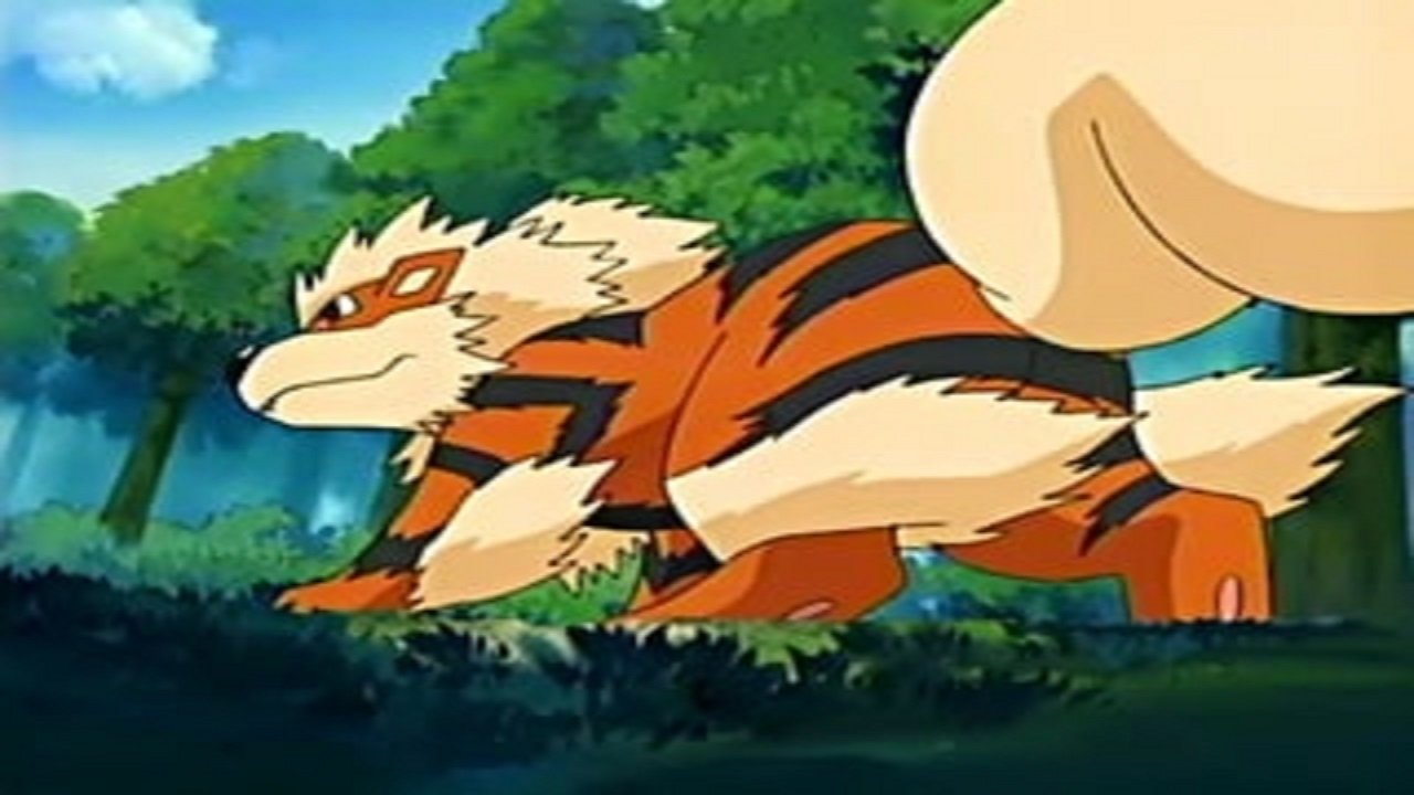 Pokémon Season 8 :Episode 47  On Cloud Arcanine