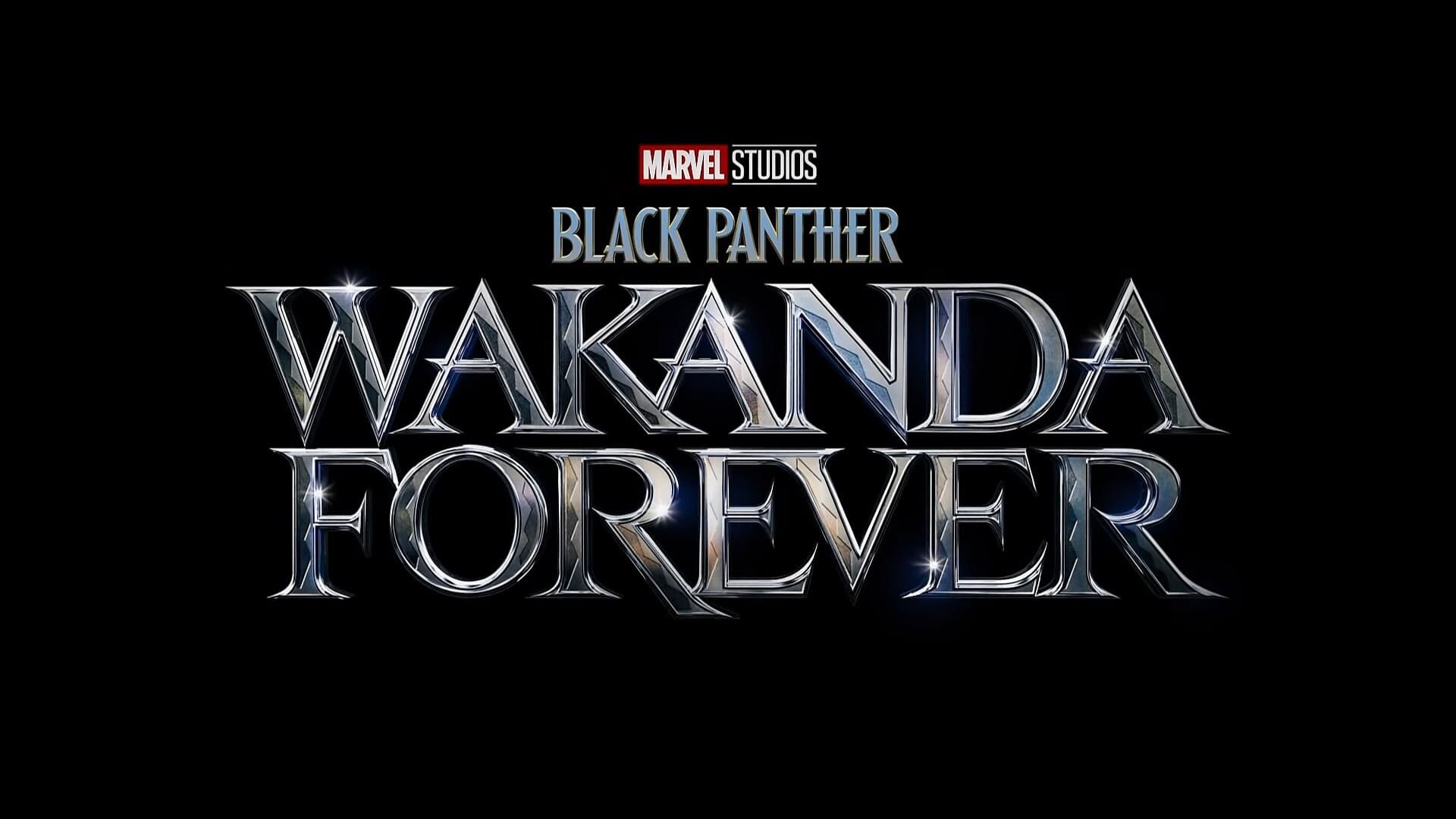 Kara Panter: Yaşasın Wakanda (2022)