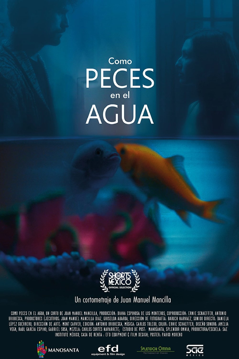 Como Peces en el Agua