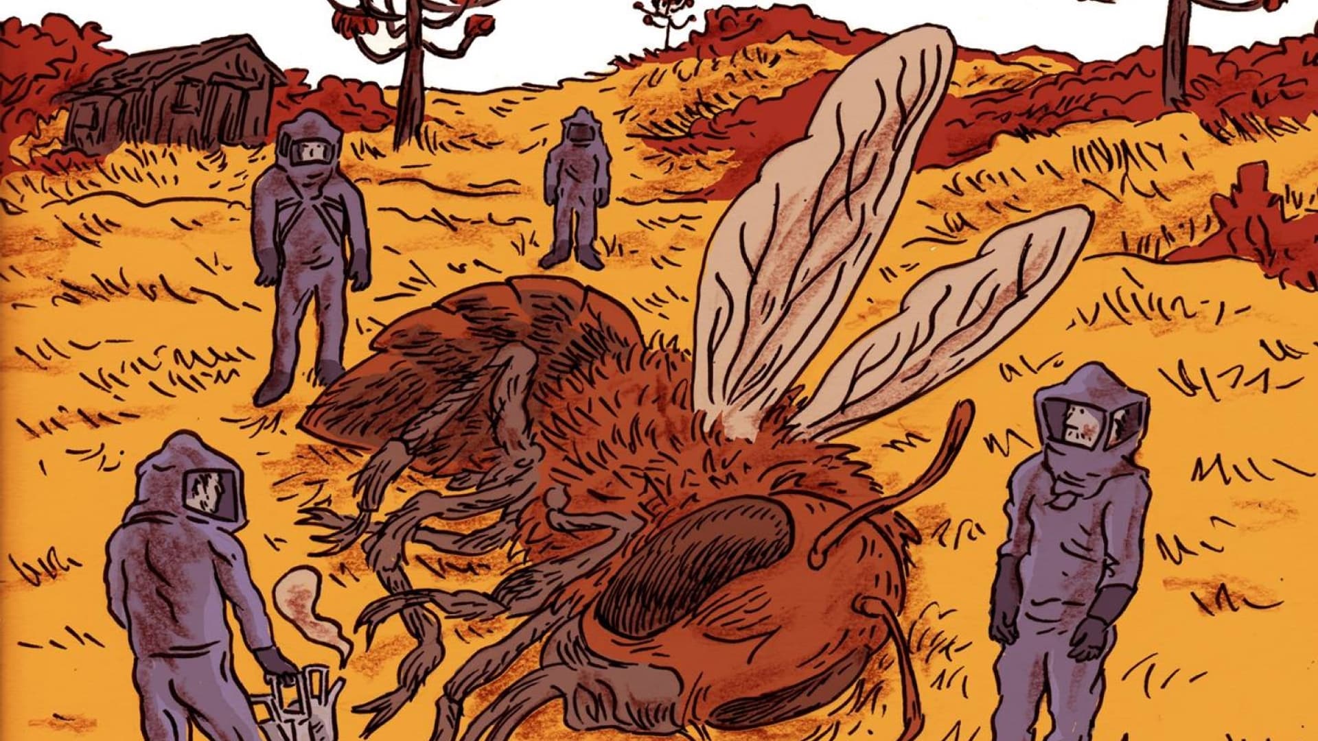 Capotista - Apicultores Clandestinos backdrop