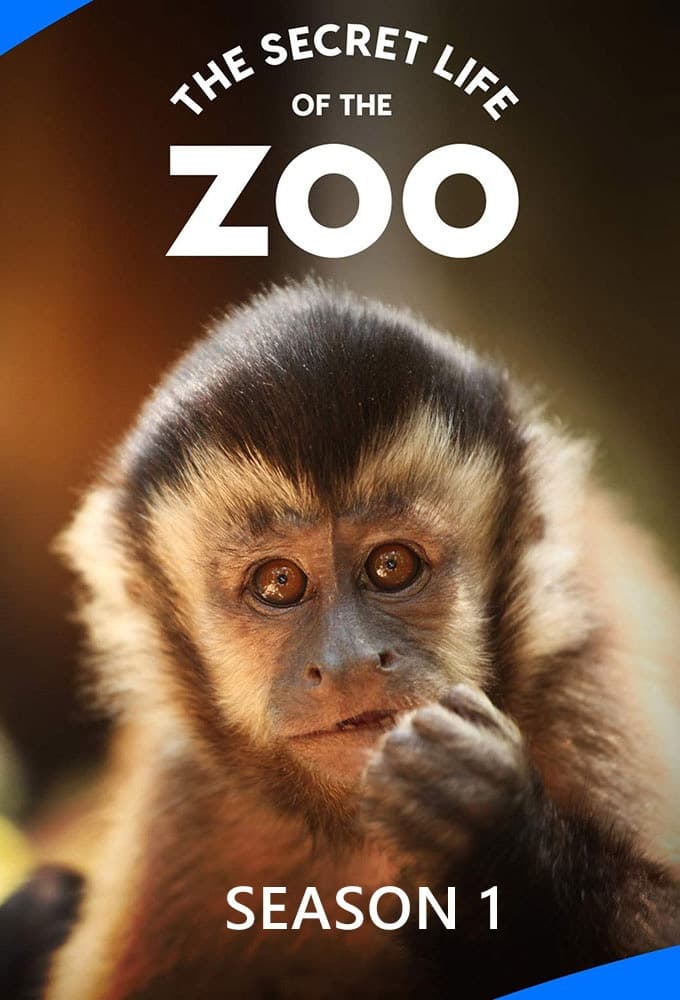The Secret Life of the Zoo - Season 1
