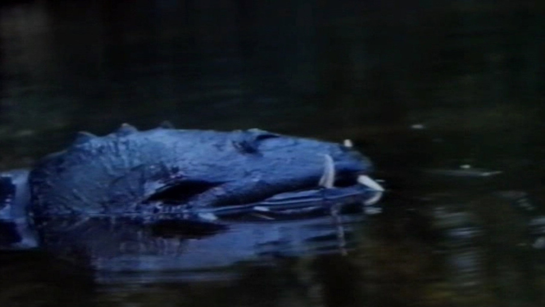 Mysterious Planet (1982) — still 3