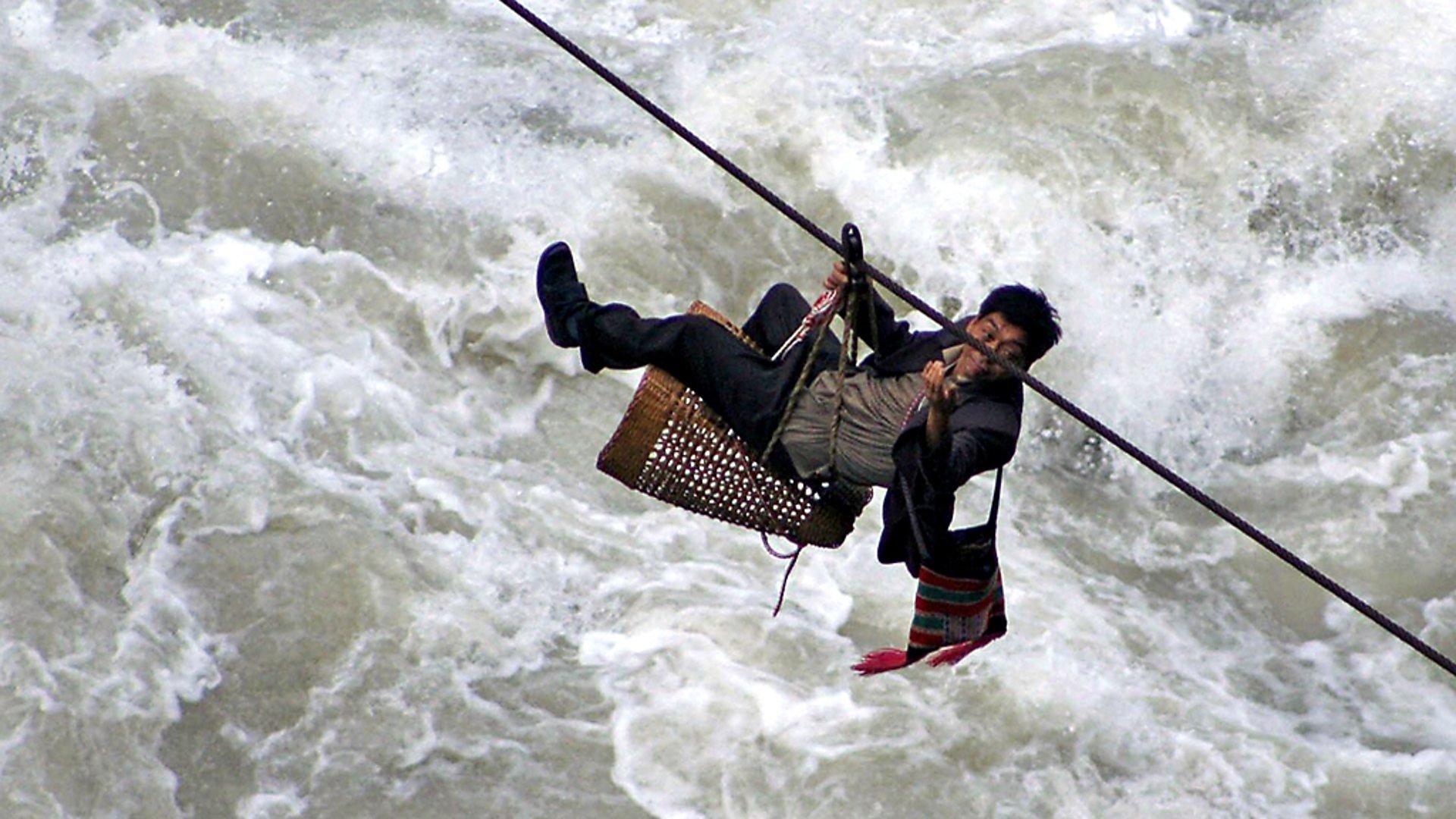 Wild China