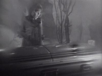 Dark Shadows