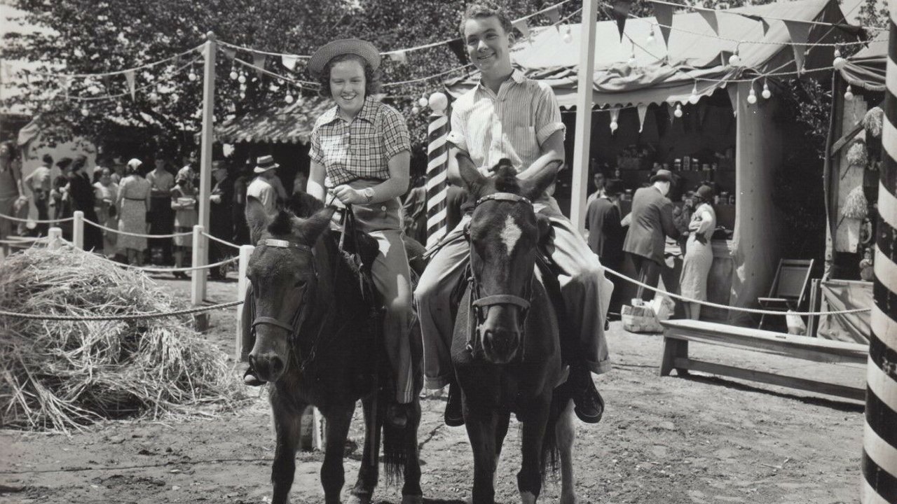 Down on the Farm (1938)