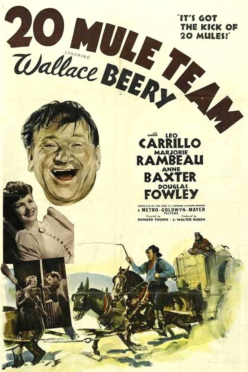 20 Mule Team
