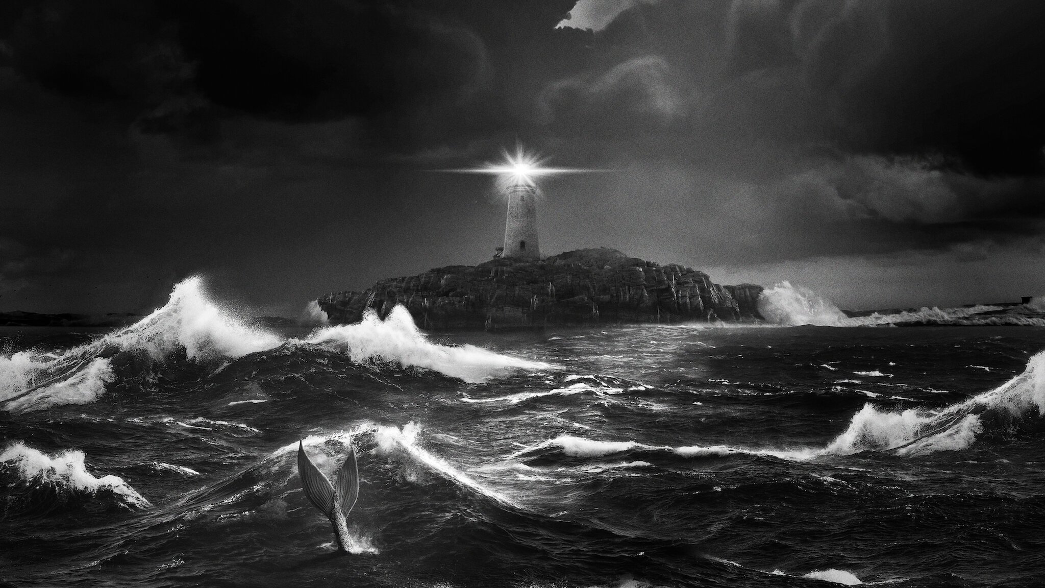 Image du film The Lighthouse 1yysuu6joa59wmswihyf9cu12l2jpg