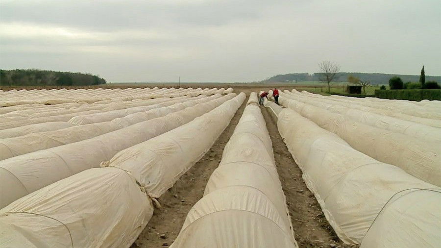 Thumbnail for Episode 281 Season 1 Episode 281