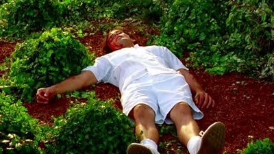 CSI: Miami