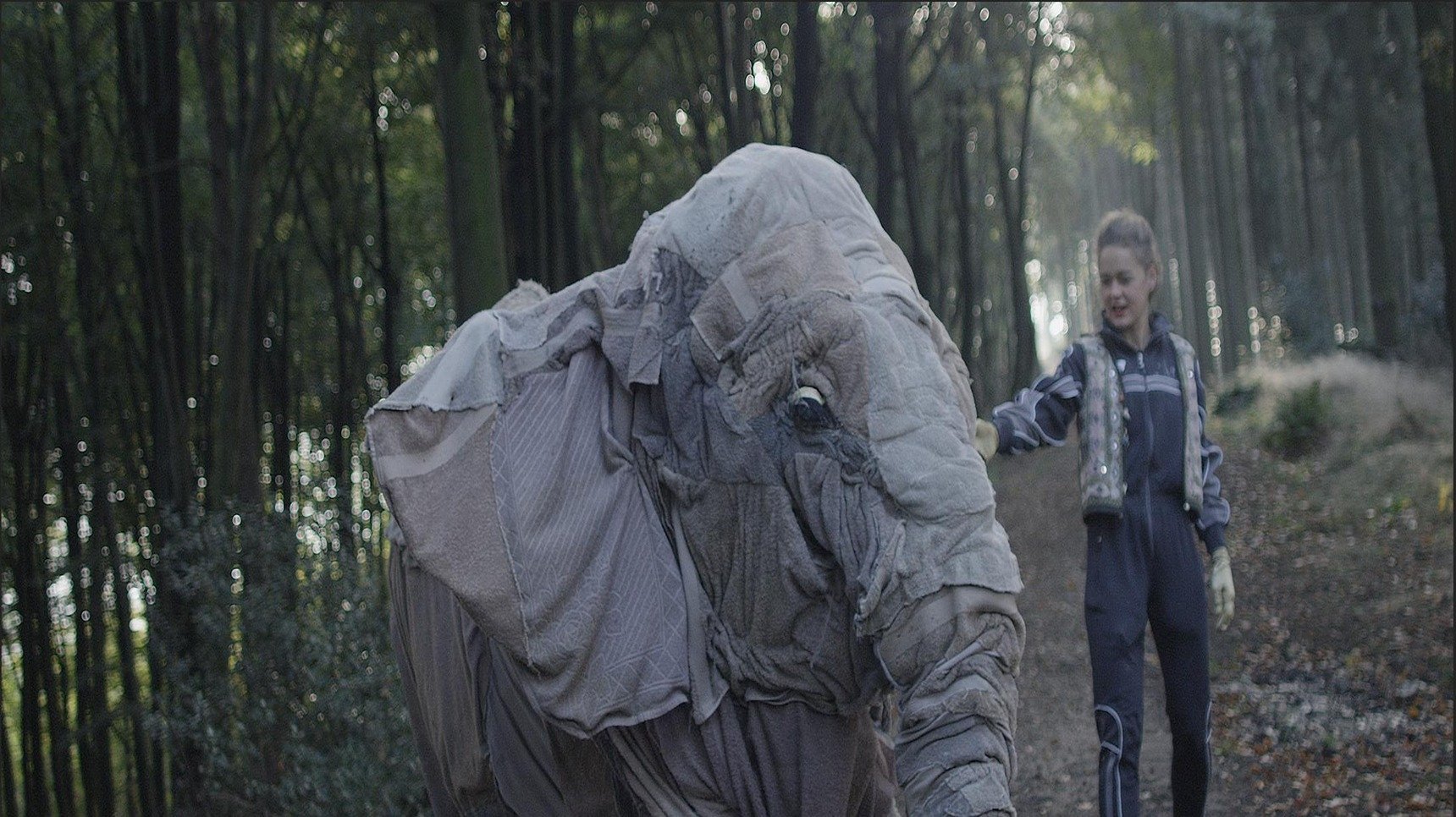 My Little Elephant ()