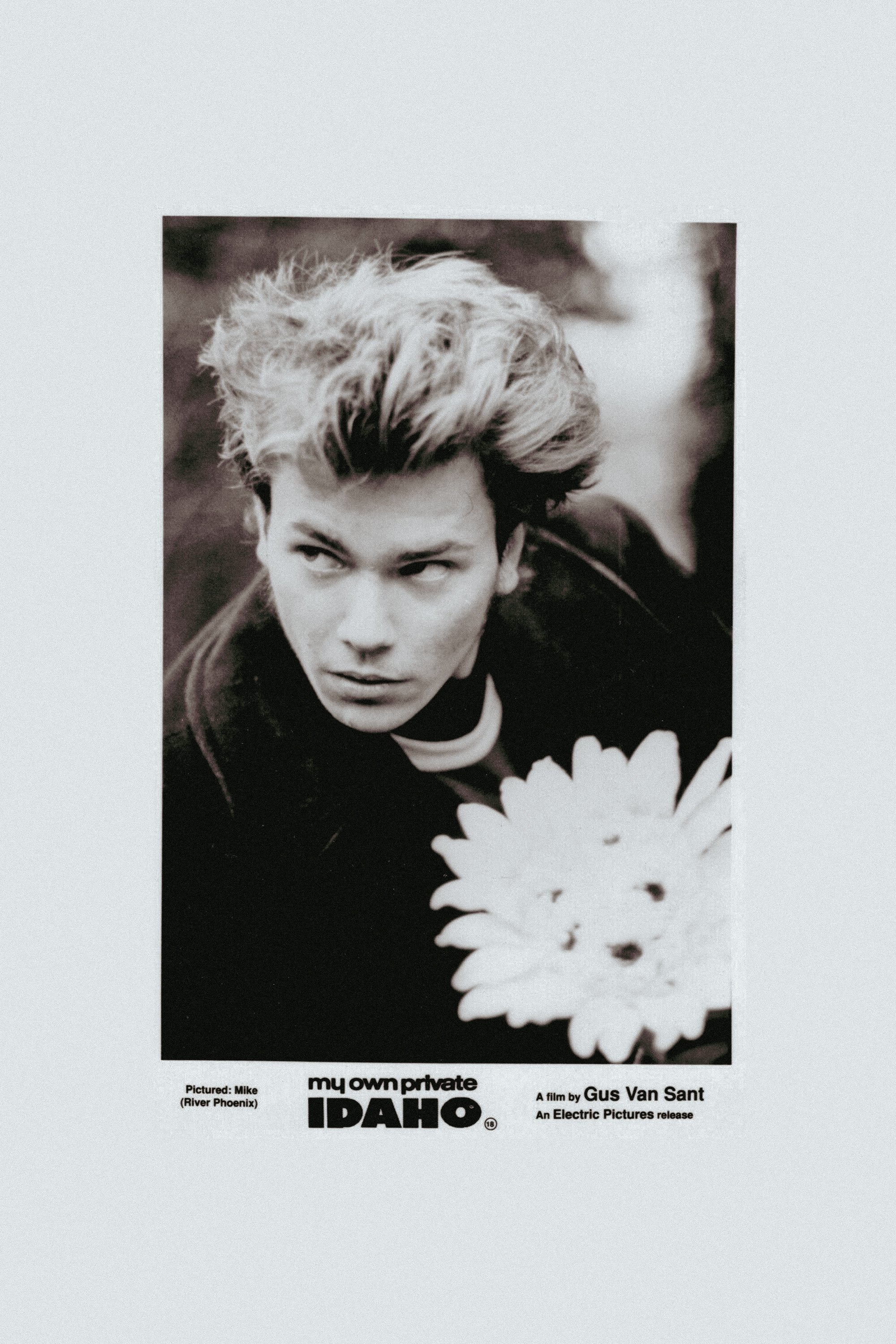 My Own Private Idaho